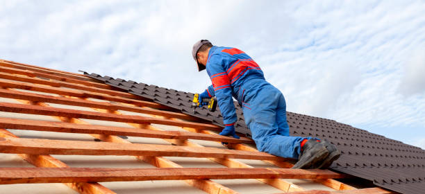 Best Sheet Metal Roofing  in Weatherby Lake, MO